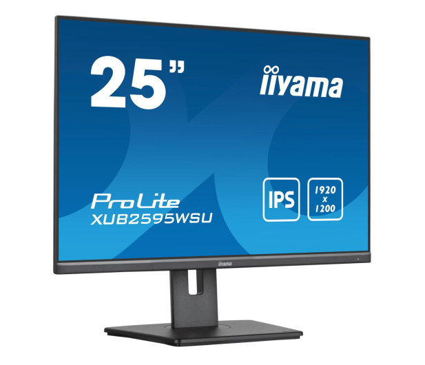 iiyama ProLite XUB2595WSU-B5 - 1193575 - zdjęcie 3